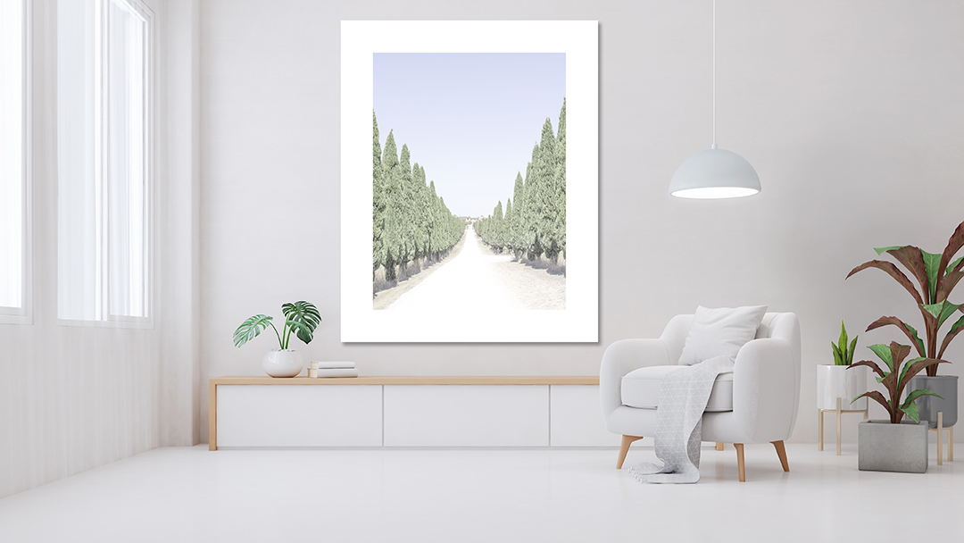 Living room interior with plant and white armchair.3d rendering