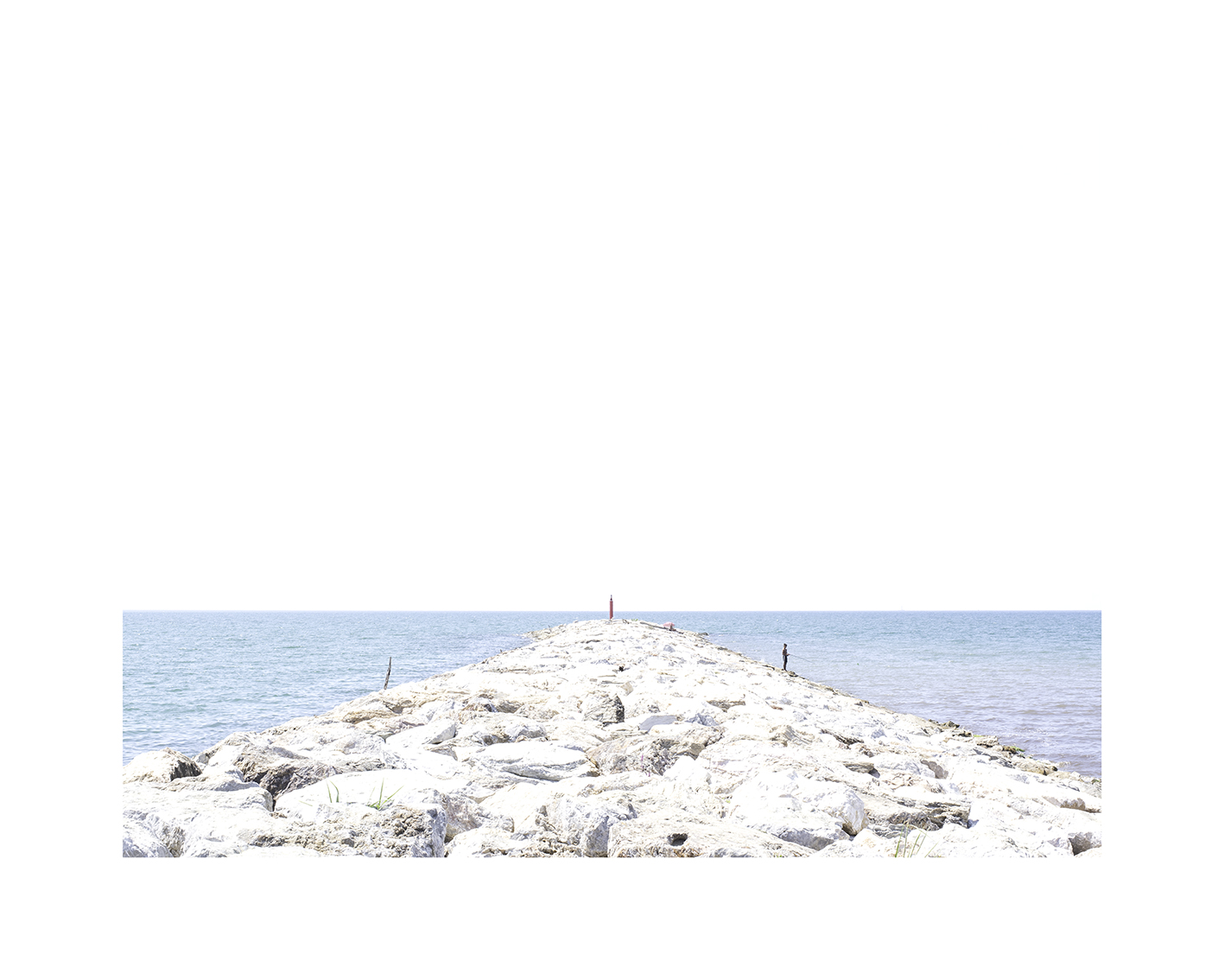 _DSC0142-3-40x50 72 Calambrone 2024