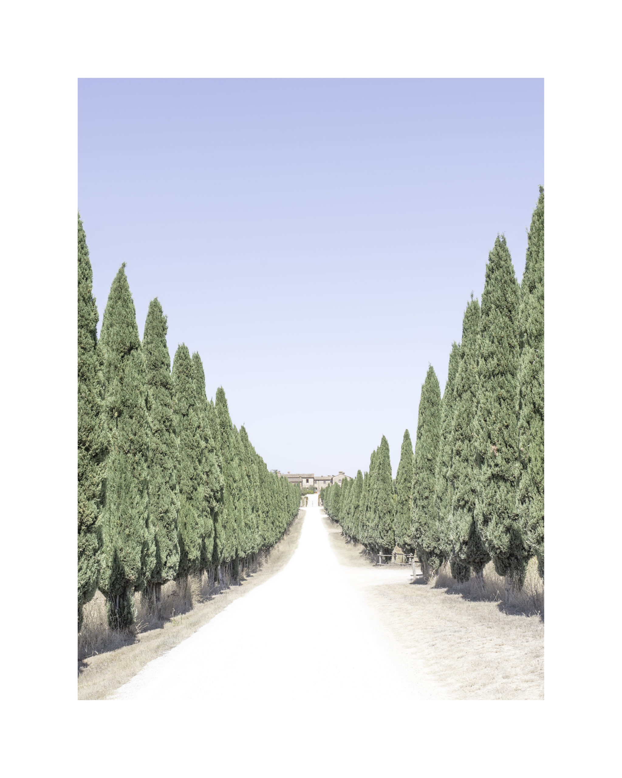 Borgo Beccanella 2024 Borgo Beccanella 2024