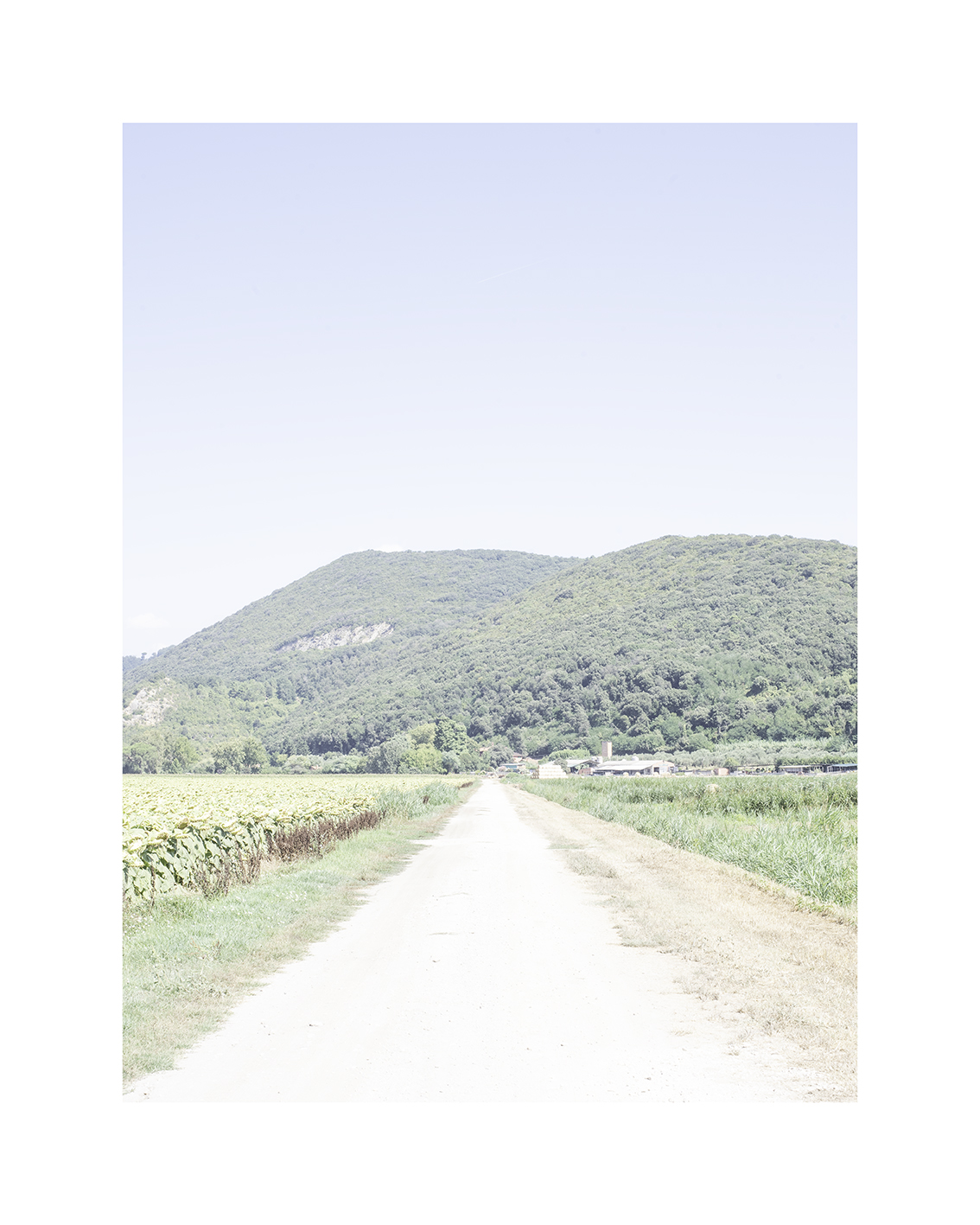 Massarosa 2024 Massarosa 2024